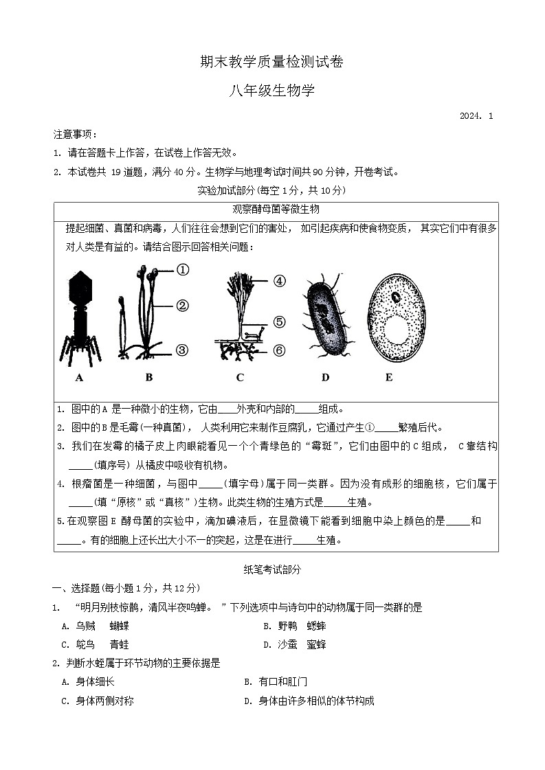辽宁省大连市高新区2023-2024学年八年级上学期期末考试生物试题01