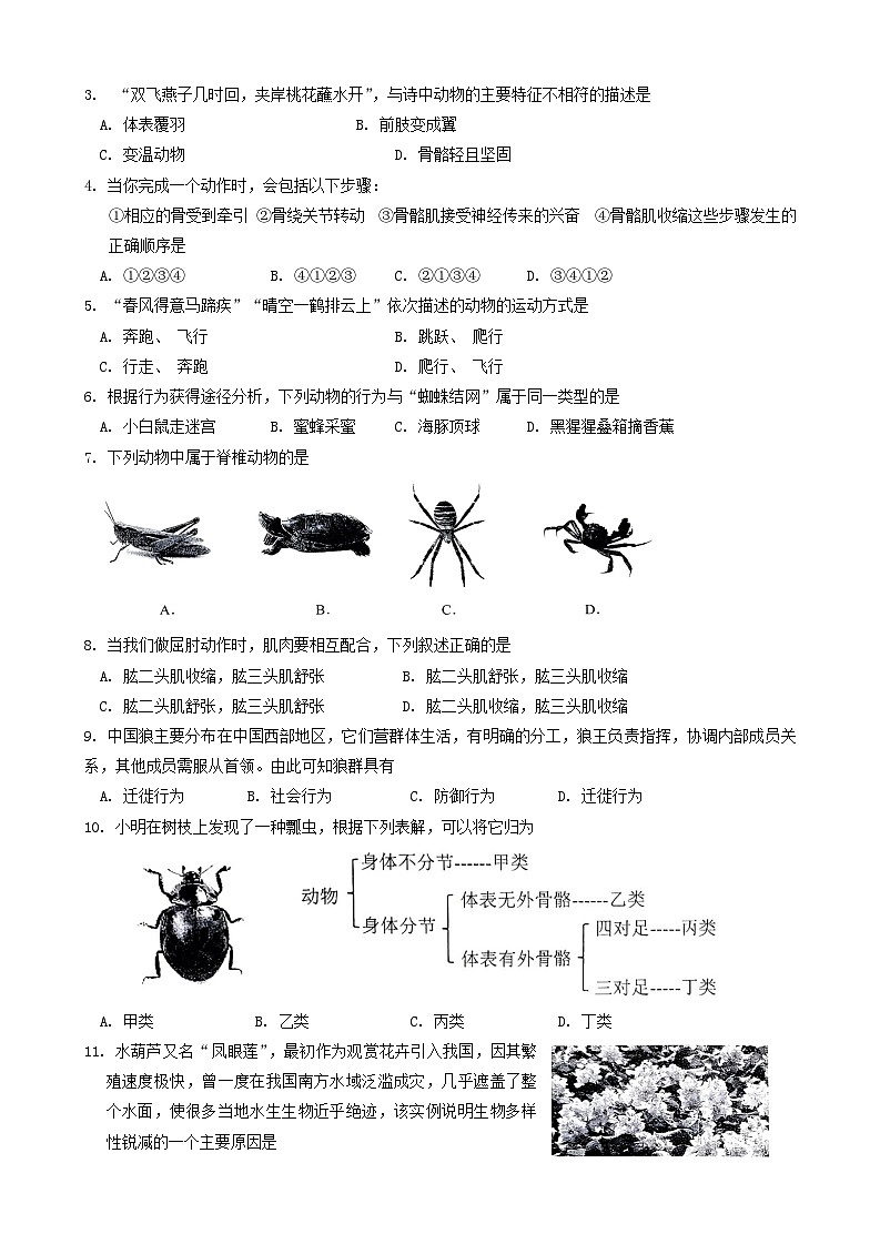 辽宁省大连市高新区2023-2024学年八年级上学期期末考试生物试题02