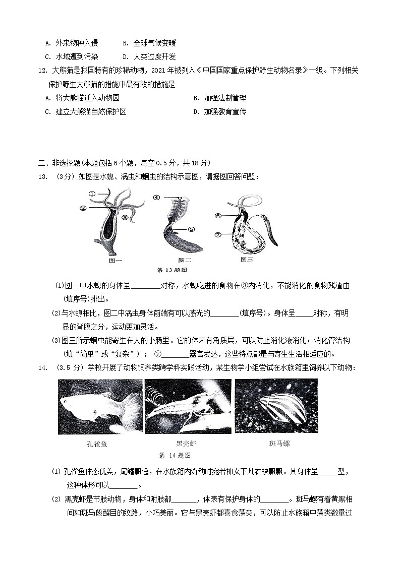 辽宁省大连市高新区2023-2024学年八年级上学期期末考试生物试题03