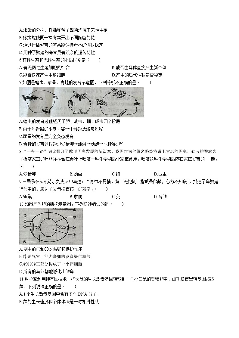 山东省临沂市兰陵县2023-2024学年八年级上学期生物期末考试试题(1)02