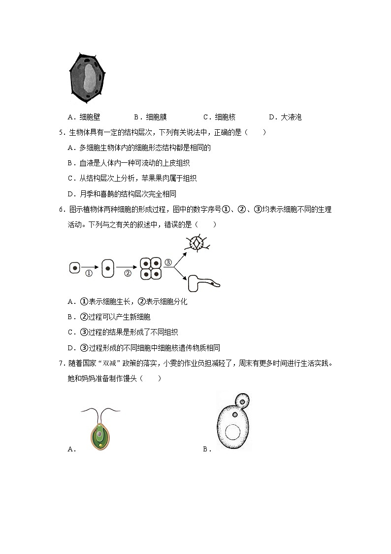2023年山东省淄博市淄川区中考生物一模试卷02