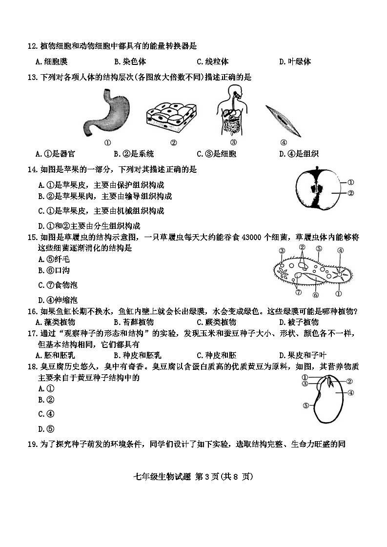 山东省临沂市费县2023-2024学年七年级上学期期末生物试题(1)03