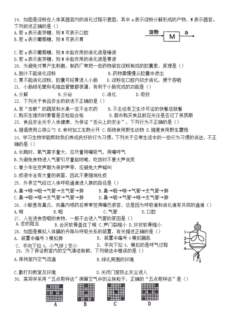 山东省淄博市桓台县（五四制）2023-2024学年七年级上学期期中考试生物试题03