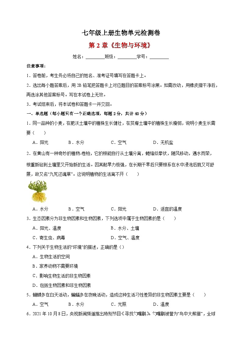 2023-2024学年苏科版七年级上册生物第2章《生物与环境》单元检测卷（含答案解析）01