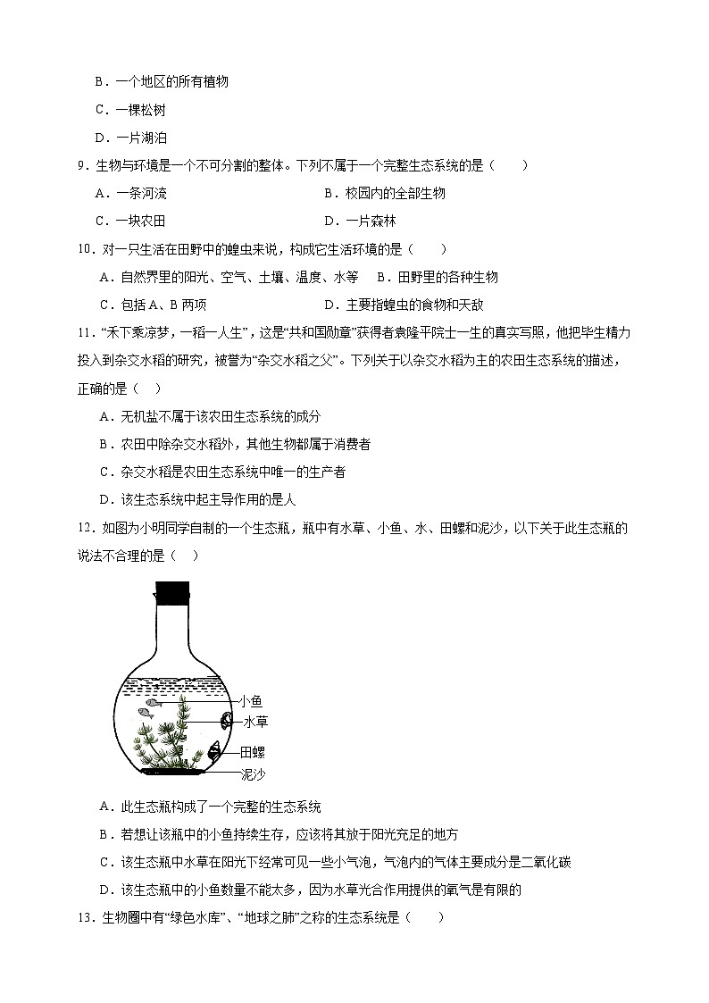 2023-2024学年苏科版七年级上册生物第3章《生态系统和生物圈》单元检测卷（含答案解析）02