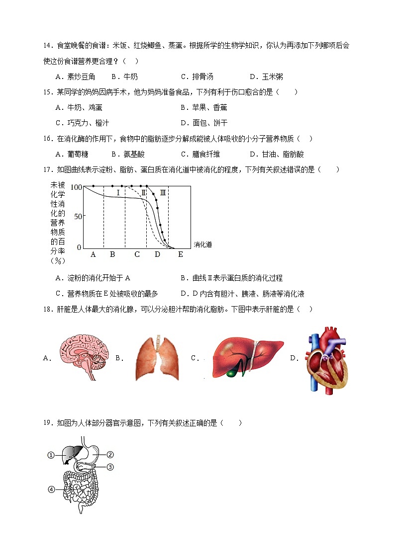 2023-2024学年苏科版七年级上册生物第5章《人体的物质和能量来源于食物》单元检测卷（含答案解析）03