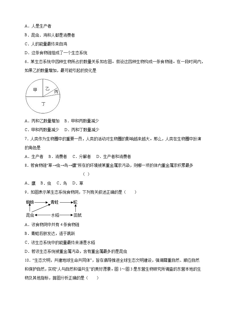 2023-2024学年苏科版七年级上册生物第6章《生物之间的食物关系》单元检测卷（含答案解析）02