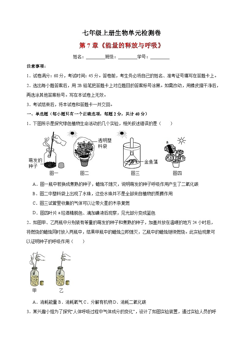 2023-2024学年苏科版七年级上册生物第7章《能量的释放与呼吸》单元检测卷（含答案解析）01