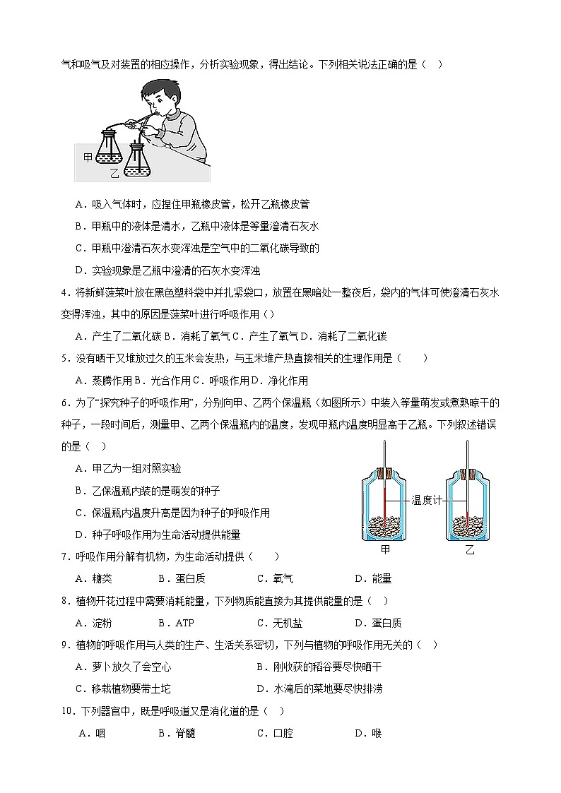 2023-2024学年苏科版七年级上册生物第7章《能量的释放与呼吸》单元检测卷（含答案解析）02