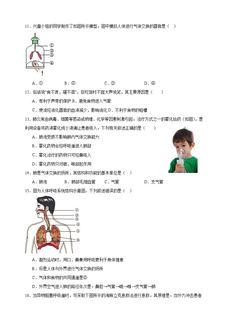 2023-2024学年苏科版七年级上册生物第7章《能量的释放与呼吸》单元检测卷（含答案解析）03