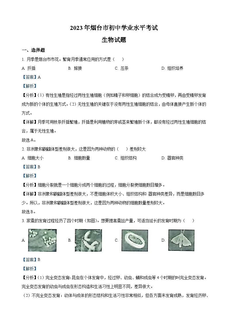 2023年山东省烟台市中考生物真题（解析版）第1页