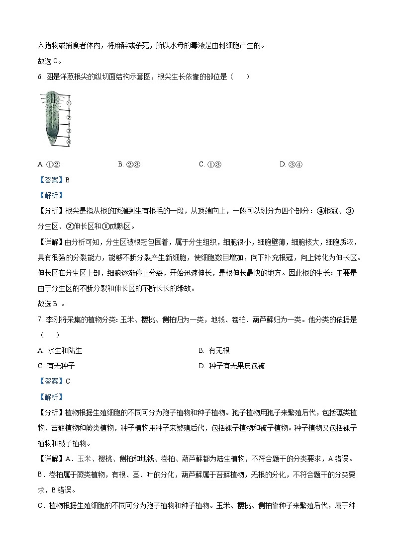 2023年山东省烟台市中考生物真题（解析版）第3页