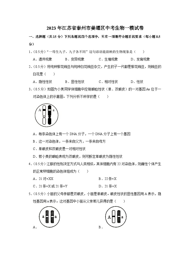 2023年江苏省泰州市姜堰区中考生物一模试卷01