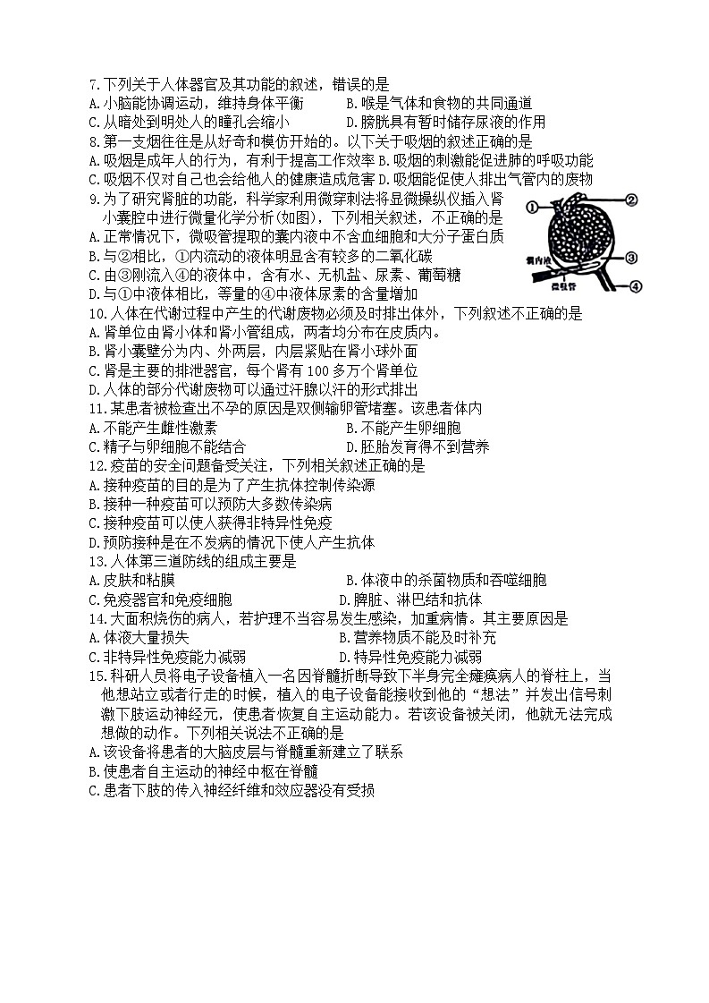 山东省菏泽市鄄城县2023-2024学年九年级上学期期末生物试题02