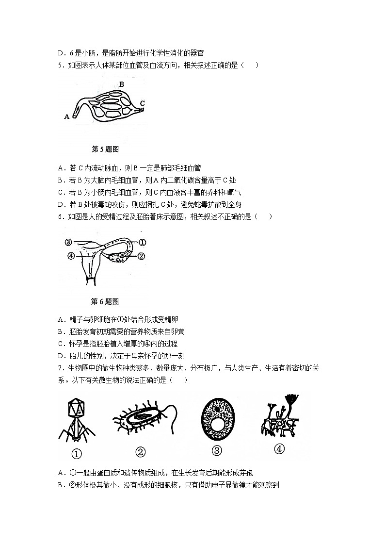山东省菏泽市郓城县2023-2024学年九年级上学期期末教学质量检测生物试题02