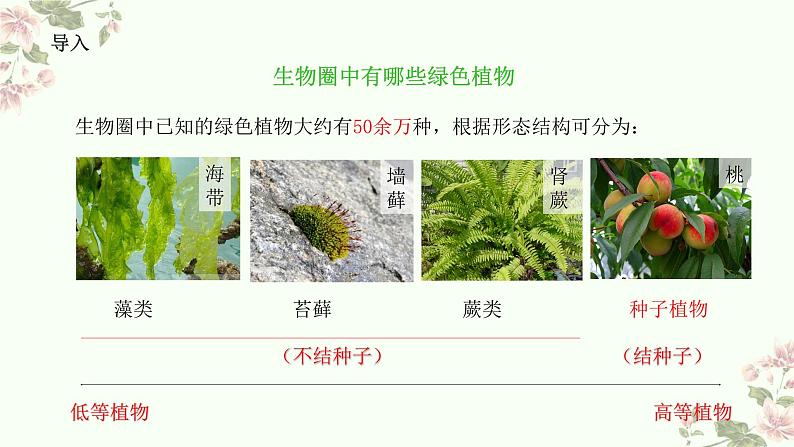 4.1.2 植物的基本类群（教学课件）-2022-2023学年八年级生命科学同步精品课堂（沪教版第二册）第3页