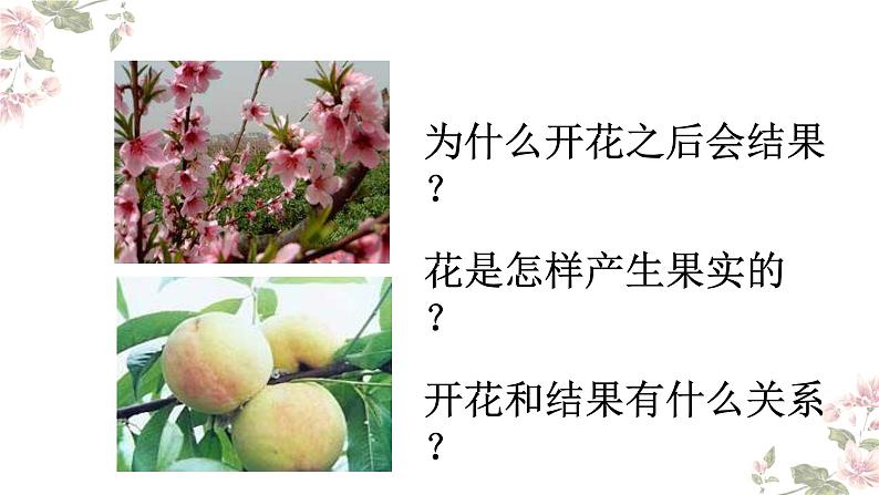 4.1.4 花的结构与植物的繁殖（教学课件）-2022-2023学年八年级生命科学同步精品课堂（沪教版第二册）第4页