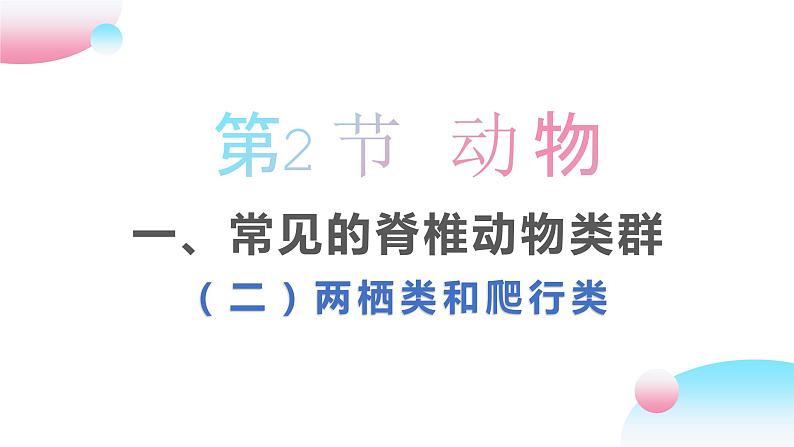 4.2.1 脊椎动物（二）两栖类和爬行类（教学课件）-2022-2023学年八年级生命科学同步精品课堂（沪教版第二册）第1页