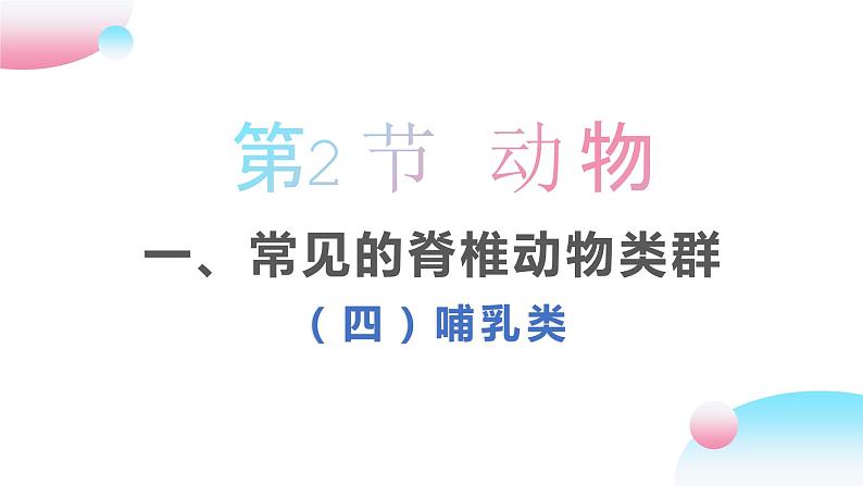 4.2.1 脊椎动物（四）哺乳类（教学课件）-2022-2023学年八年级生命科学同步精品课堂（沪教版第二册）第1页