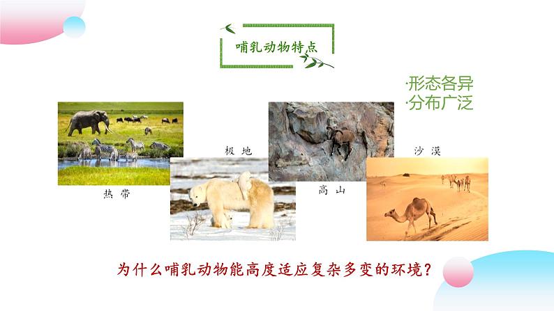 4.2.1 脊椎动物（四）哺乳类（教学课件）-2022-2023学年八年级生命科学同步精品课堂（沪教版第二册）第7页