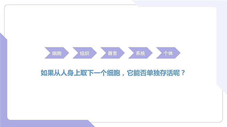 4.2.2+无脊椎动物+（一）原生、腔肠动物（教学课件）-2022-2023学年八年级生命科学同步精品课堂（沪教版第二册）第3页