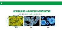 生物沪教版第三节 微生物教学ppt课件