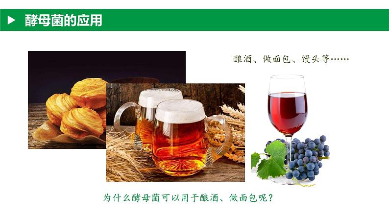 4.3.1 微生物（一）真菌（教学课件）-2022-2023学年八年级生命科学同步精品课堂（沪教版第二册）07