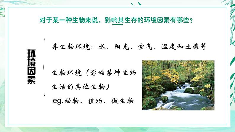 5.1.1+生物与环境（教学课件）-2022-2023学年八年级生命科学同步精品课堂（沪教版第二册）03