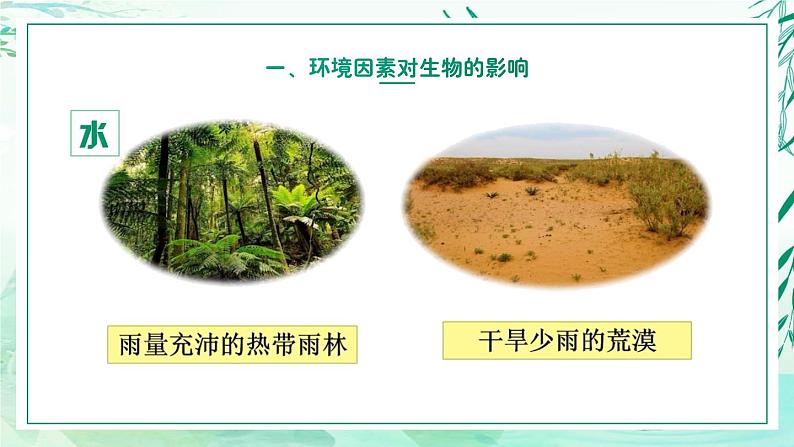 5.1.1+生物与环境（教学课件）-2022-2023学年八年级生命科学同步精品课堂（沪教版第二册）07