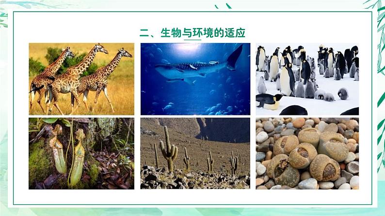 5.1.1+生物与环境（教学课件）-2022-2023学年八年级生命科学同步精品课堂（沪教版第二册）08