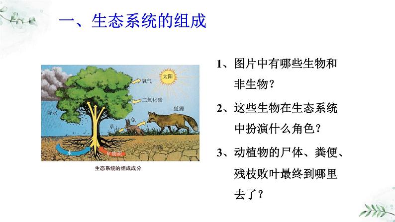 5.2.1+生态系统的结构与功能（教学课件）-2022-2023学年八年级生命科学同步精品课堂（沪教版第二册）第8页