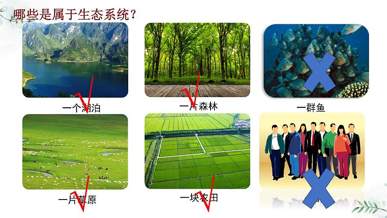 5.2.2 多种多样的生态系统（教学课件）-2022-2023学年八年级生命科学同步精品课堂（沪教版第二册）第4页