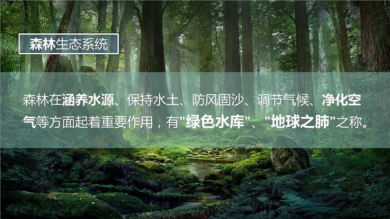 5.2.2 多种多样的生态系统（教学课件）-2022-2023学年八年级生命科学同步精品课堂（沪教版第二册）第6页