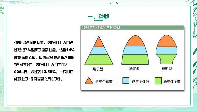 5.1.2+种群的数量变化规律及其应用（教学课件）-2022-2023学年八年级生命科学同步精品课堂（沪教版第二册）07