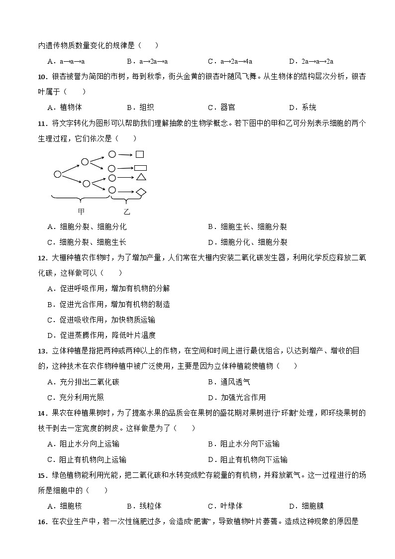 四川省成都市2024年七年级下学期开学考试生物试题含答案第2页