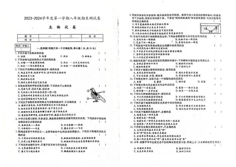 吉林省四平市伊通满族自治县2023-2024学年上学期八年级生物期末试卷（图片版，含答案）第1页