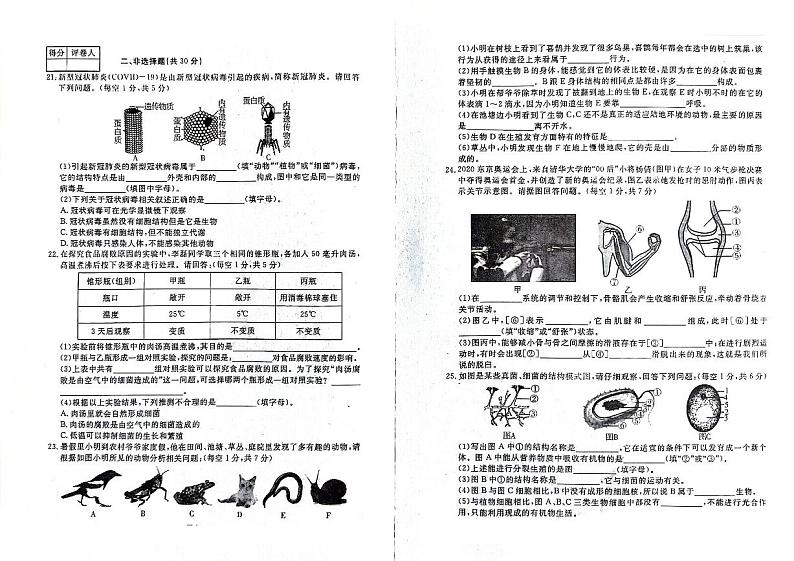 吉林省四平市伊通满族自治县2023-2024学年上学期八年级生物期末试卷（图片版，含答案）第2页