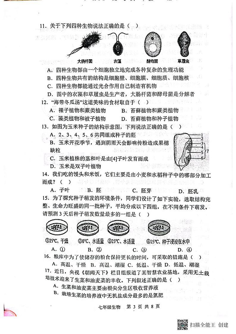 陕西省宝鸡市凤翔区2023-2024学年上学期七年级生物期末试题（图片版，含答案）03