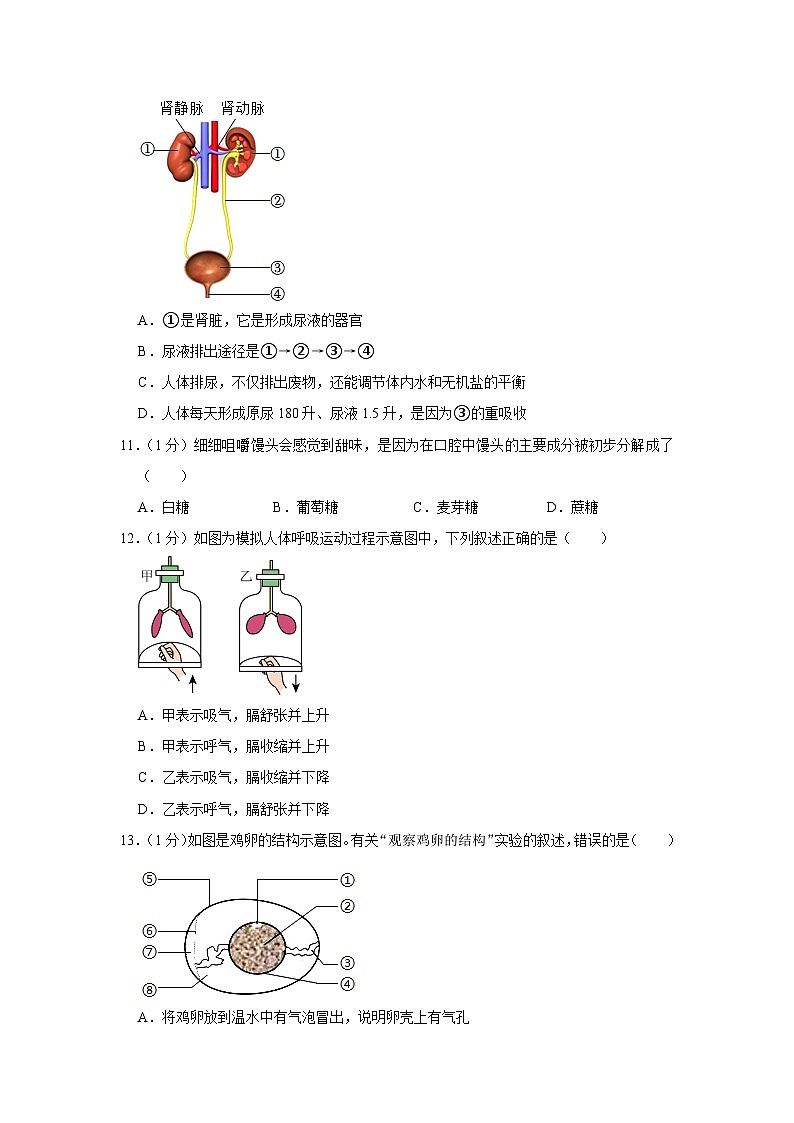 2023年吉林省白山市抚松县五校中考生物模拟试卷（原卷+解析版）03