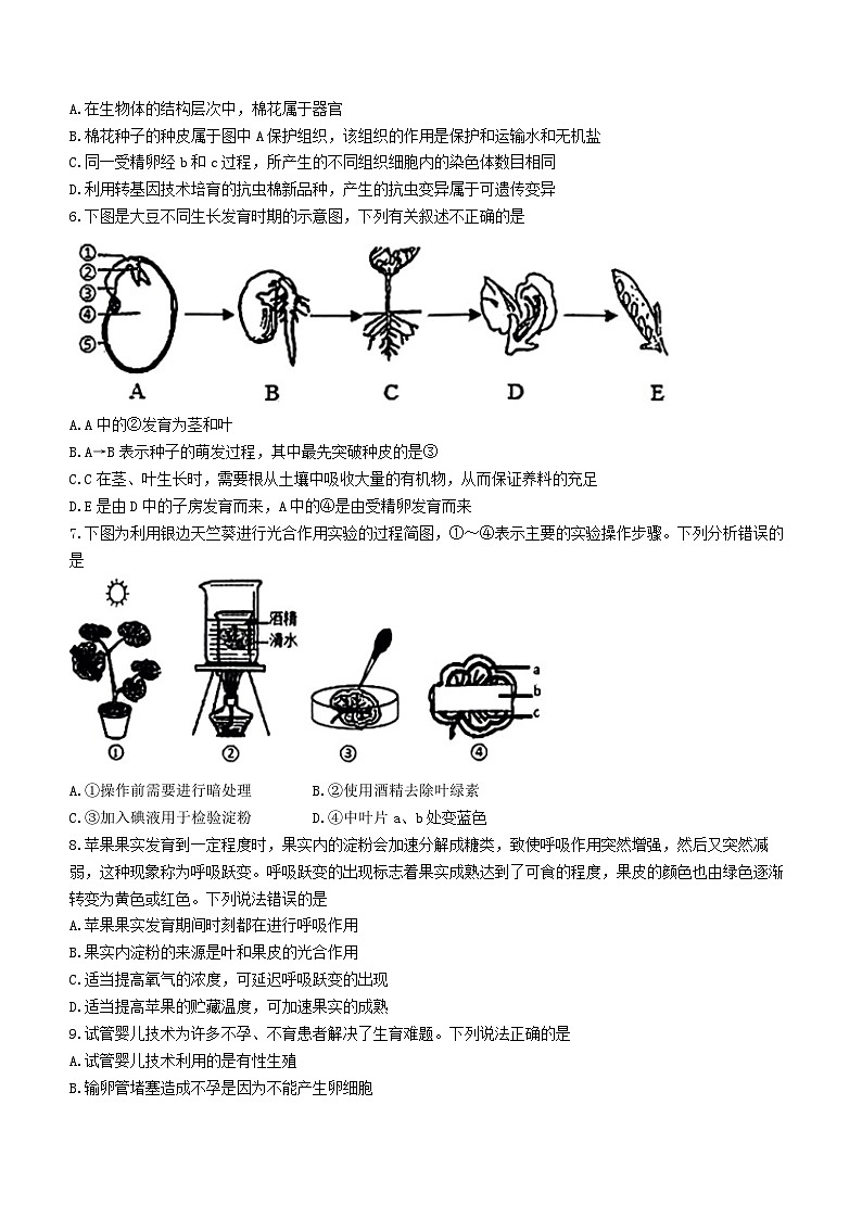 2023年湖南省娄底市生物中考模拟试题（一）02