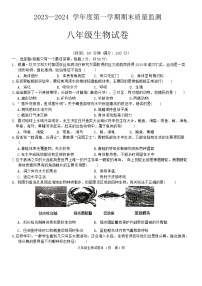 安徽省铜陵市铜官区2023-2024学年八年级上学期期末质量监测生物试卷(1)