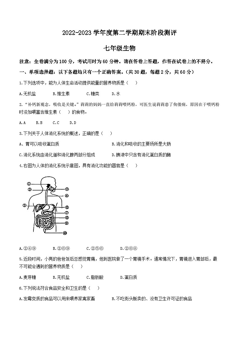 广东省湛江市第二十九中学2022—2023学年七年级下学期期末生物试题()第1页