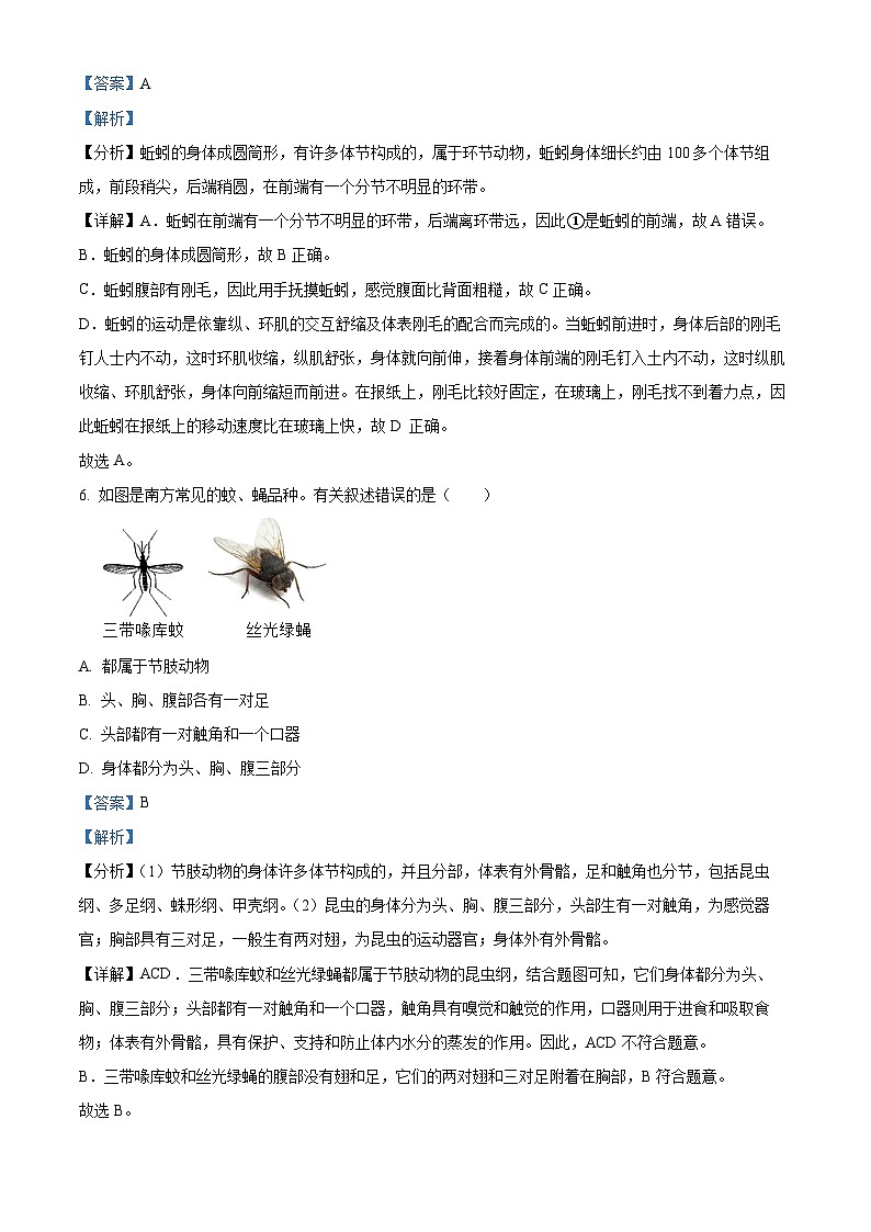 河南省鹤壁市浚县部分校联考2023-2024学年八年级上学期期中生物试题03