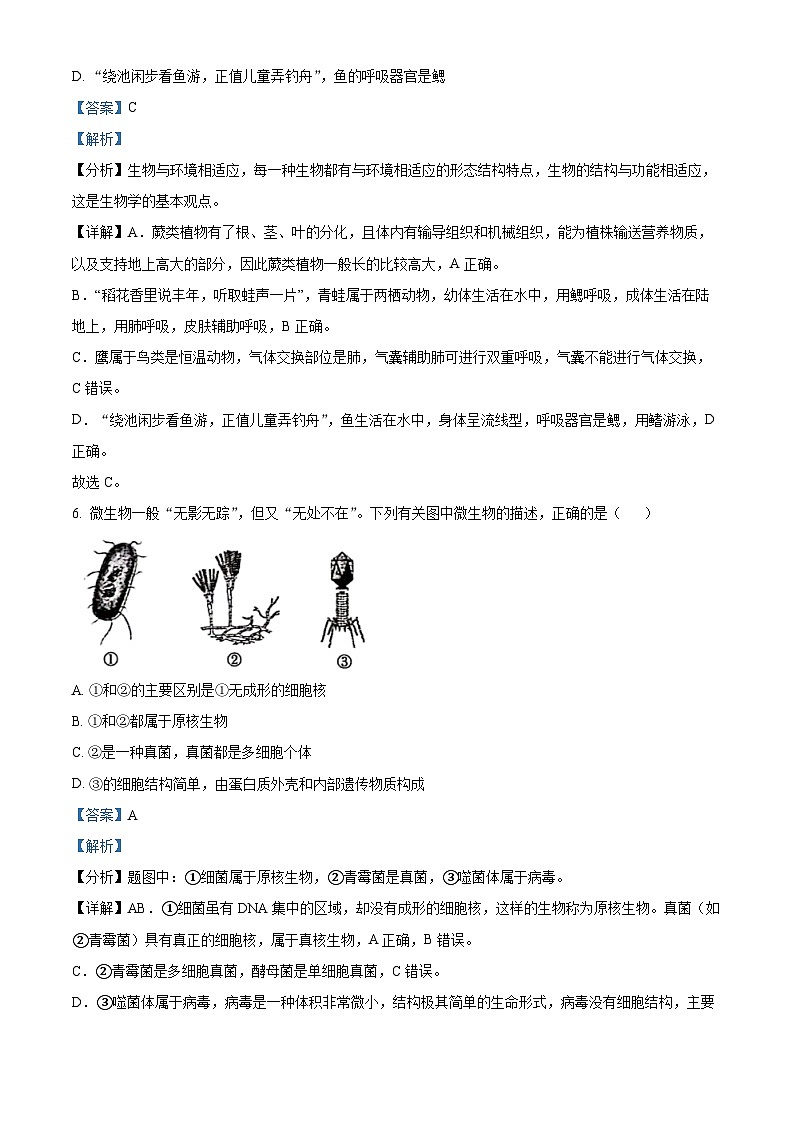 河南省周口市鹿邑县部分校2023-2024学年八年级上学期第二次月考生物试题03