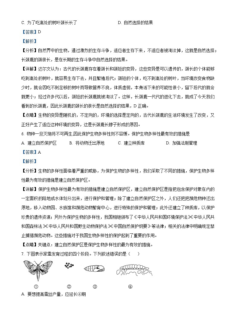 山东省烟台招远市2023-2024学年八年级上学期期末生物试题第3页