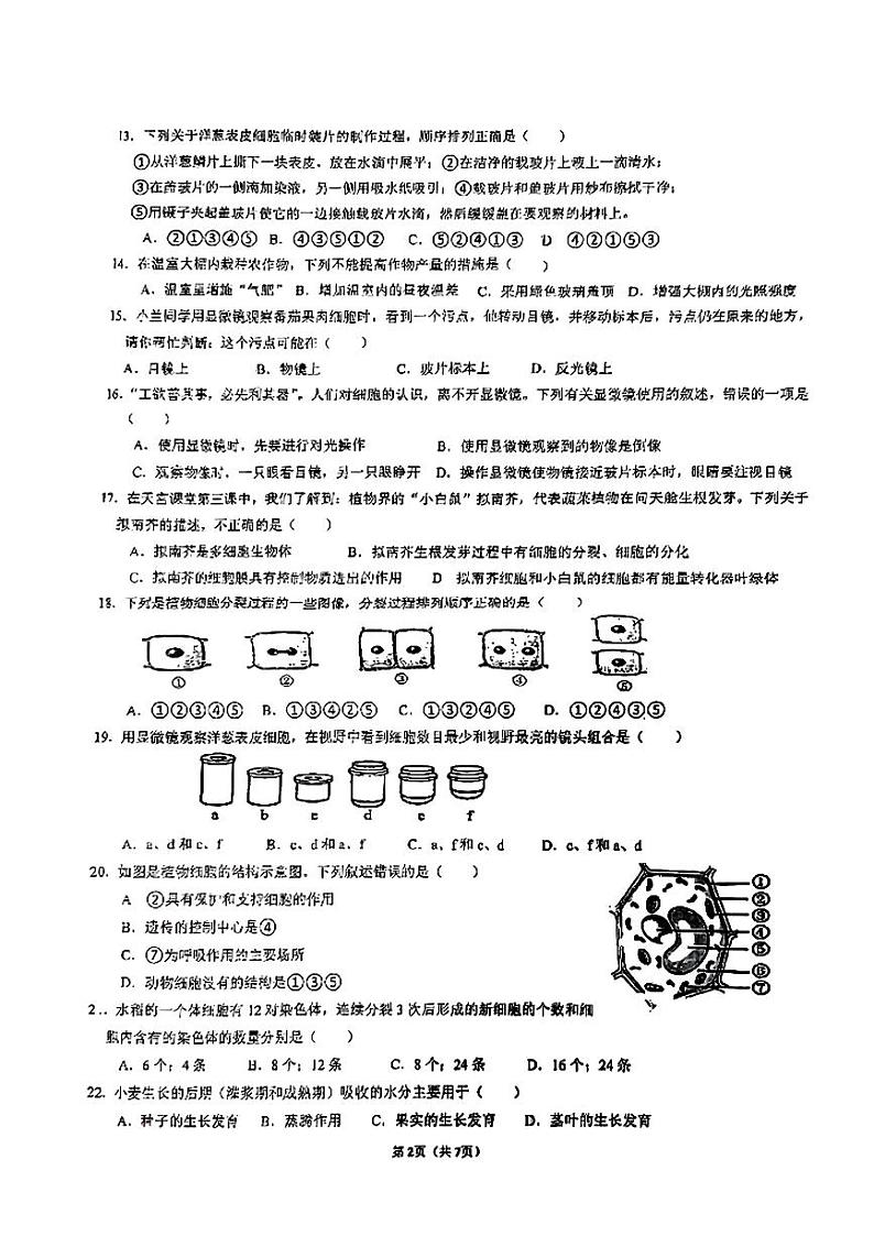 广东省湛江市第二十九中学2022--2023学年七年级上学期期末生物试题02