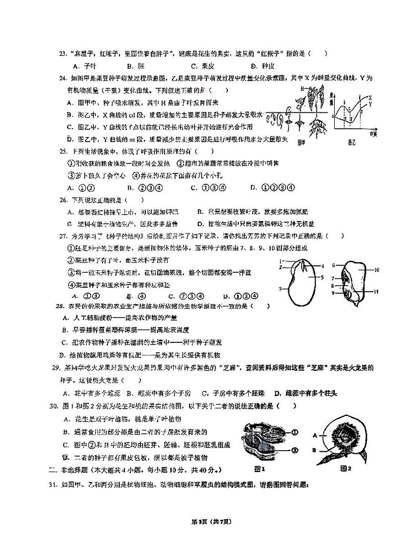 广东省湛江市第二十九中学2022--2023学年七年级上学期期末生物试题03