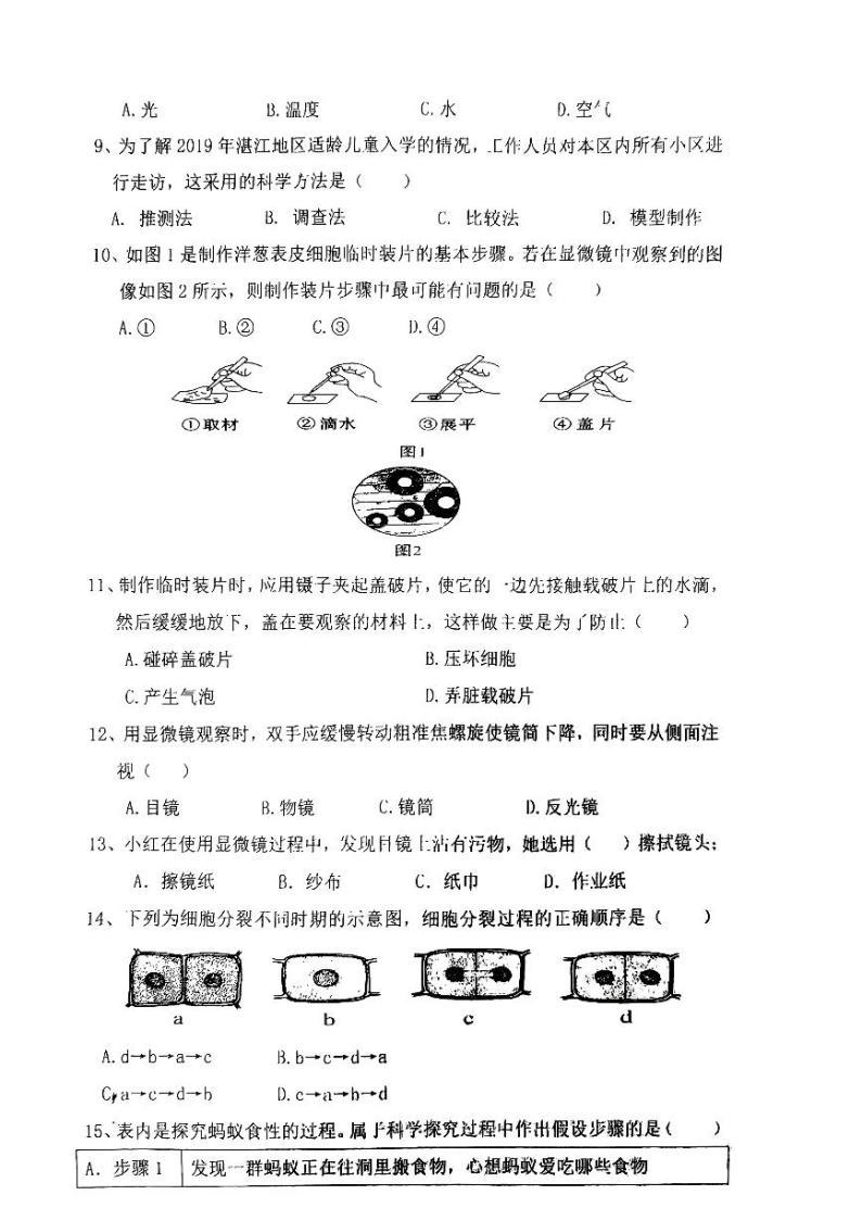 广东省湛江市第二十九中学2022--2023学年七年级上学期期中测试生物试题02