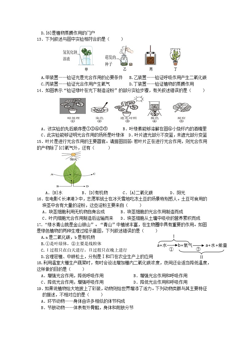 四川省广安市友谊中学2023--2024学年七年级上学期生物期末试题03