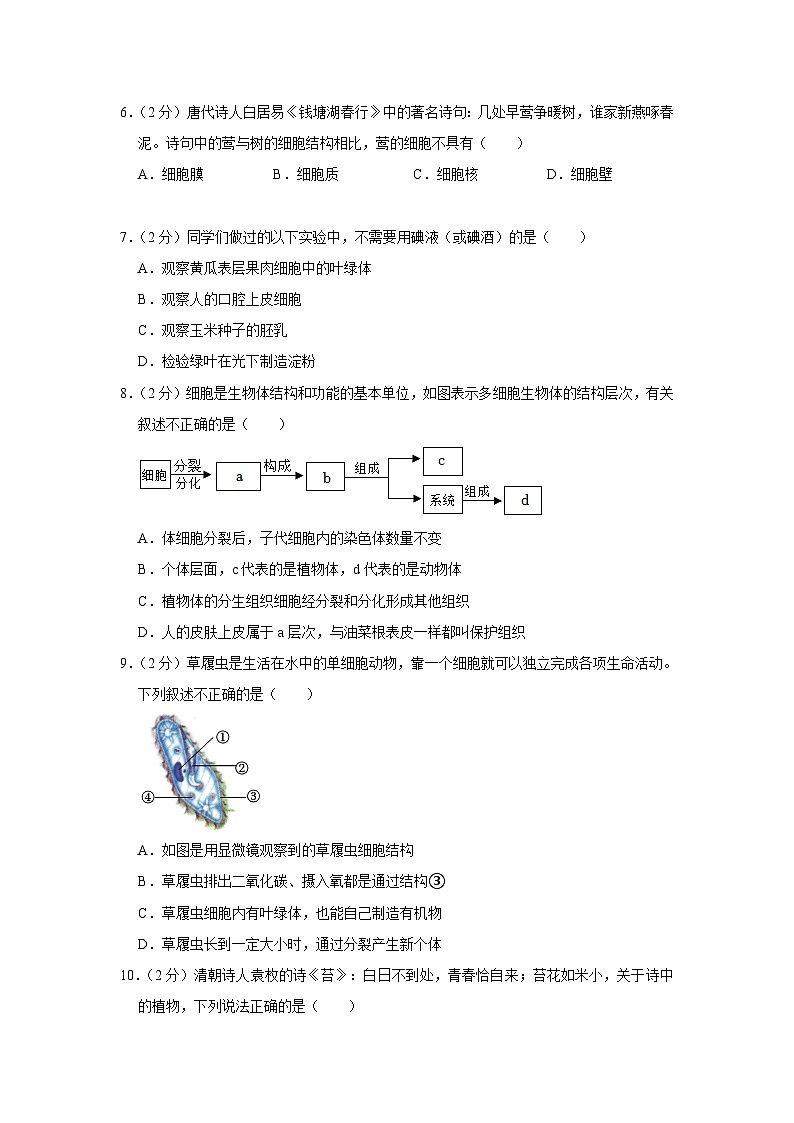 四川省泸州市泸县2023-2024学年七年级上学期期末生物试卷02